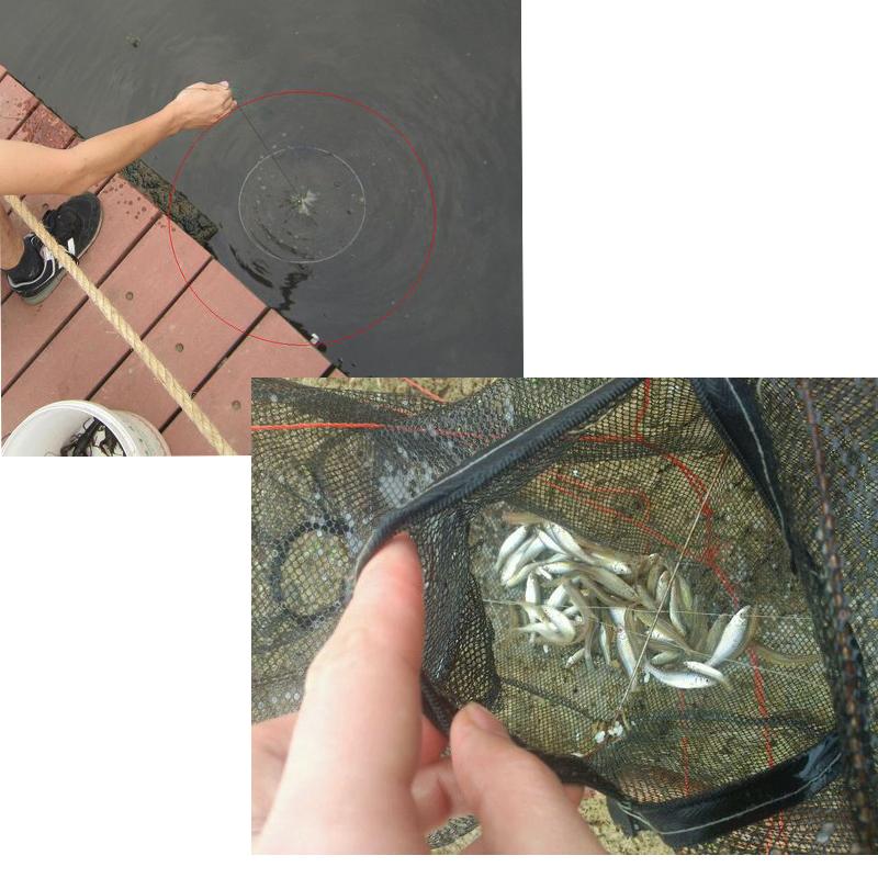 8 Hole Shrimp Catcher Trap Cages Mesh Cheap Aquarium Fishing Net