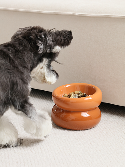 Soufflé Pet Bowl - Amber Orange - cavamart.com