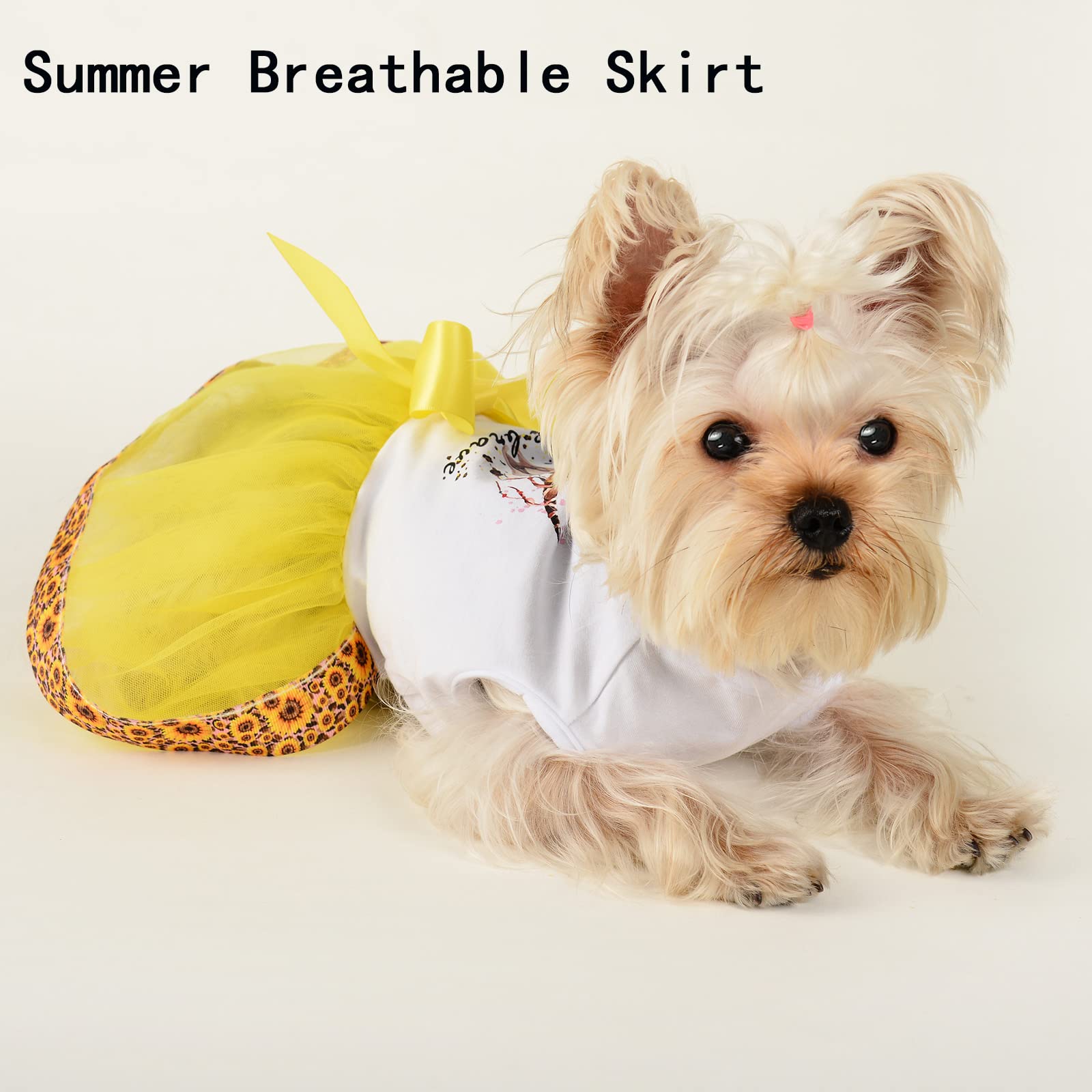 1870037329239728128