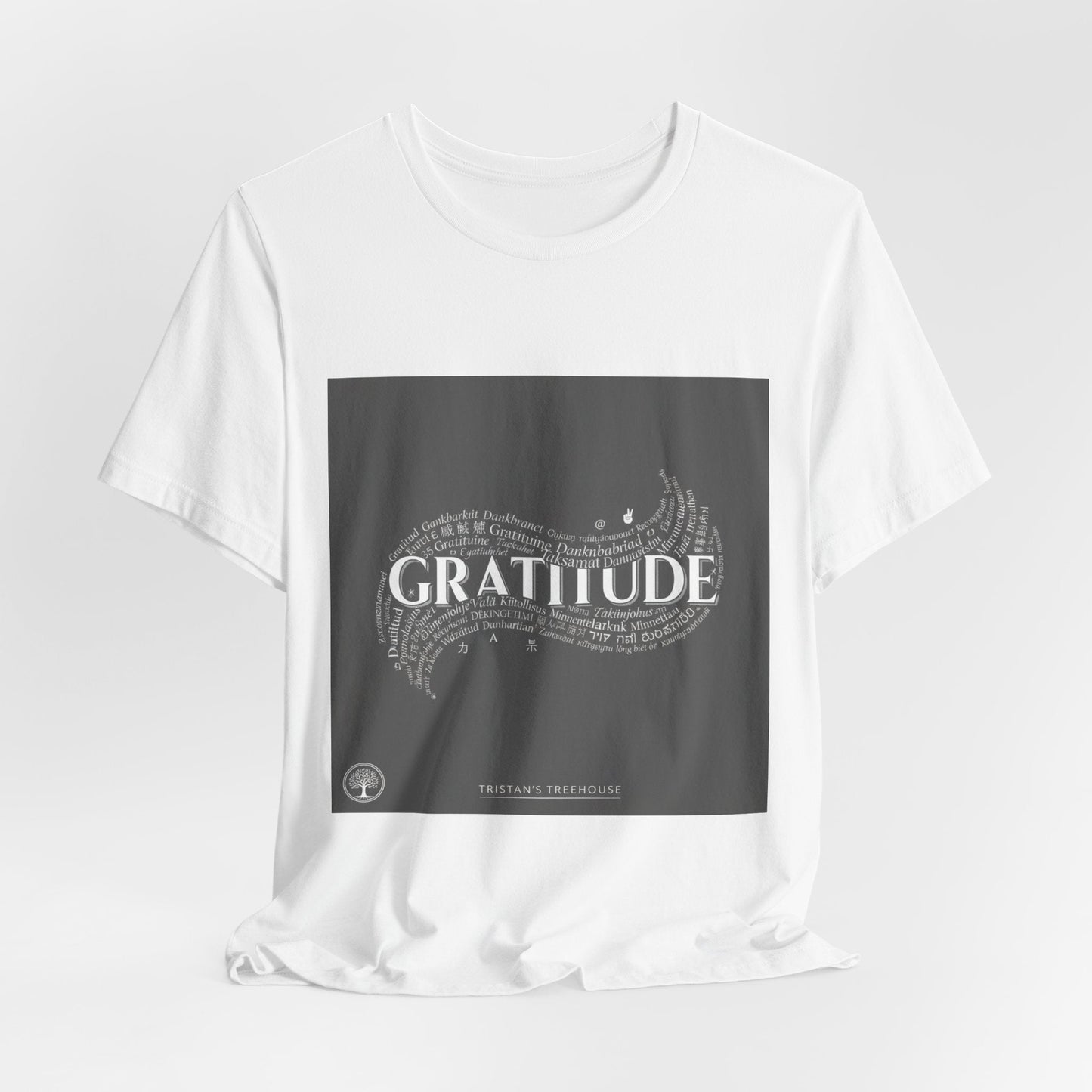 Gratitude is a Universal Language – T-Shirt