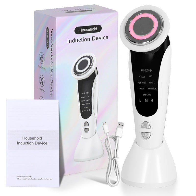 Red And Blue Light Multifunctional Household Portable Face Lifting Inductive Therapeutical Instrument