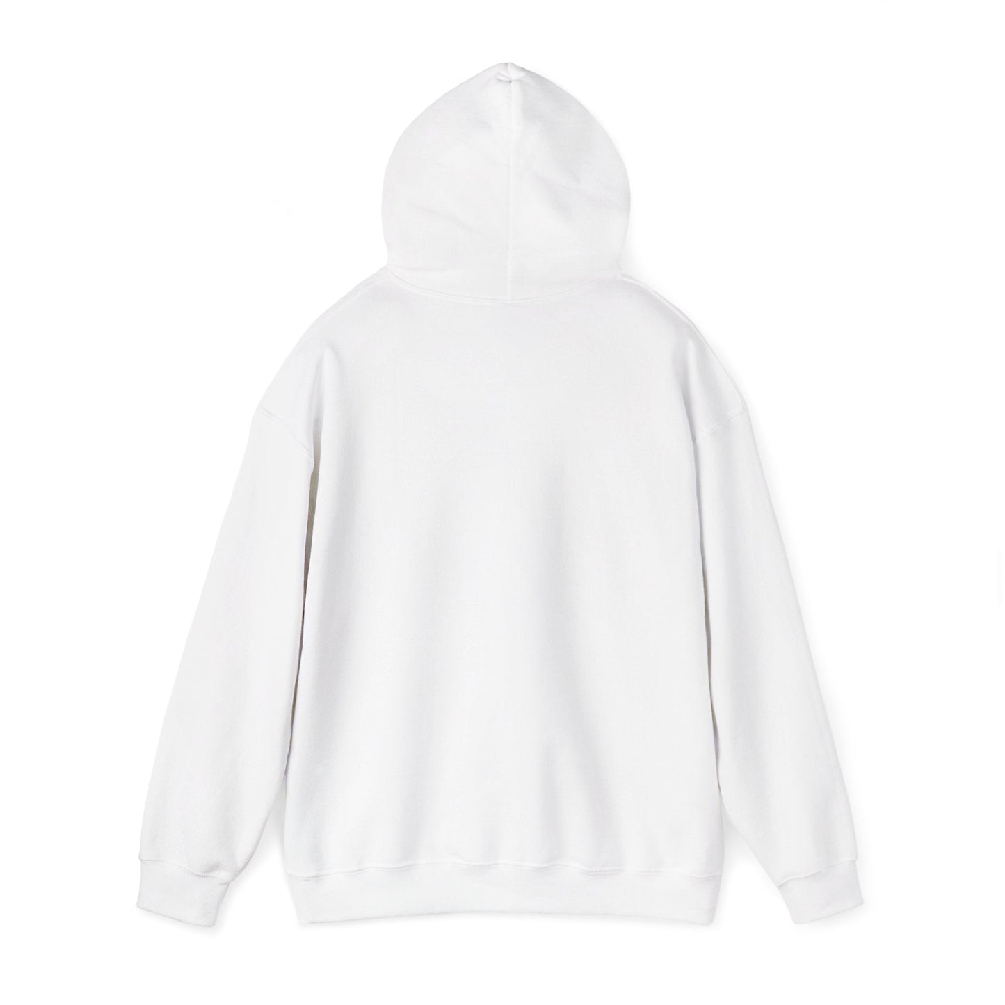 Motivation is a Universal Language Hoodie