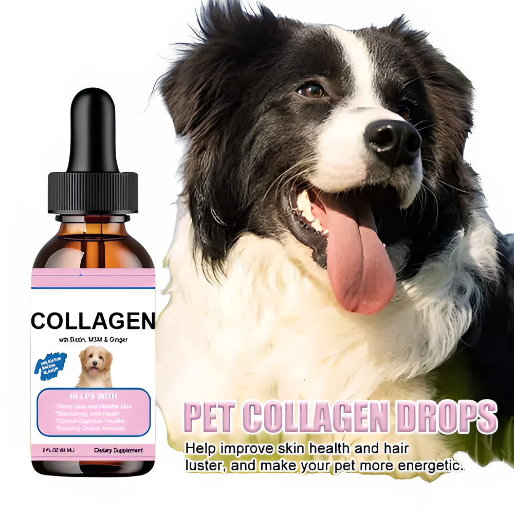 55716321-538a-49ef-a264-f1162fb63ffb