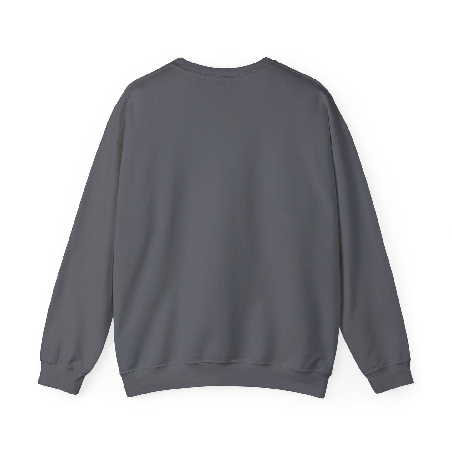 Crewneck Sweatshirt — "Motivation Is a Universal Language" Inspirational Pullover