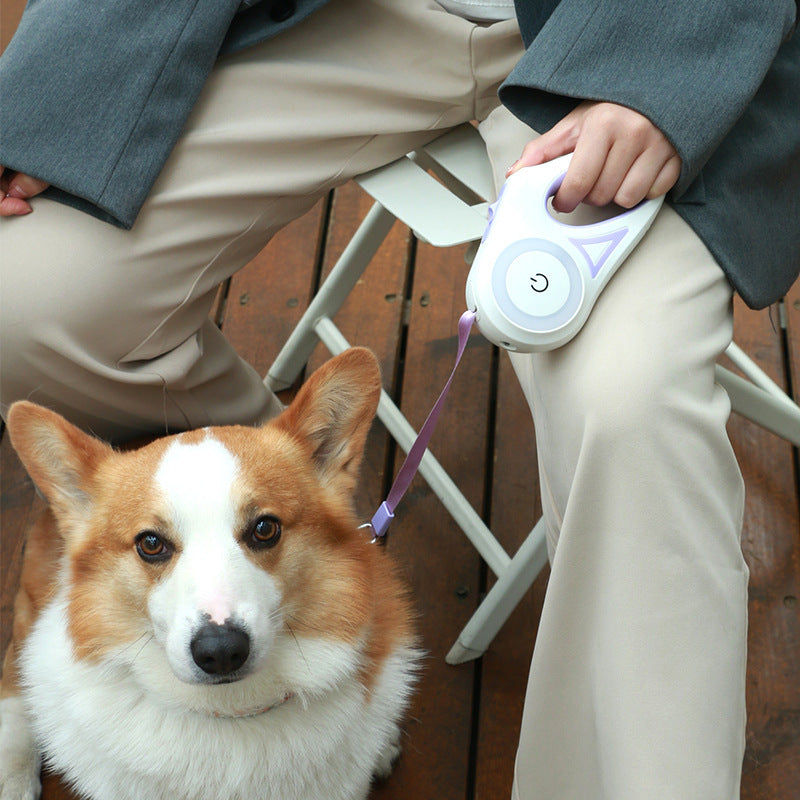 Dog Leash Retractable Leash And Dog Collar Spotlight Automatic Pet Dog