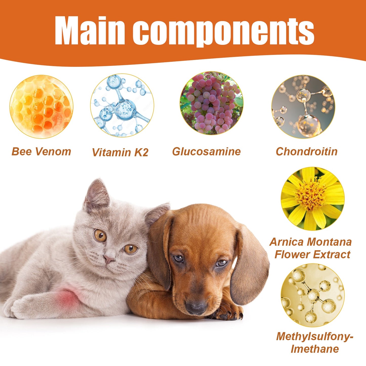 Pet Bee Venom Oil, Joint Care For Cats And Dogs Relieves Joint Pain For Pets Pet Care Water