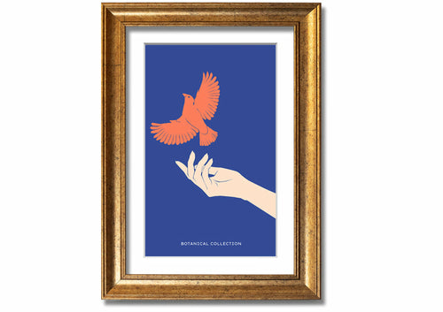 Dove From A Hand Flight