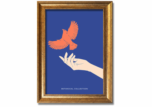 Dove From A Hand Flight