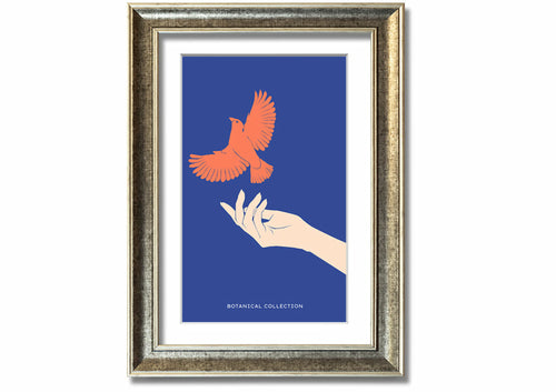 Dove From A Hand Flight