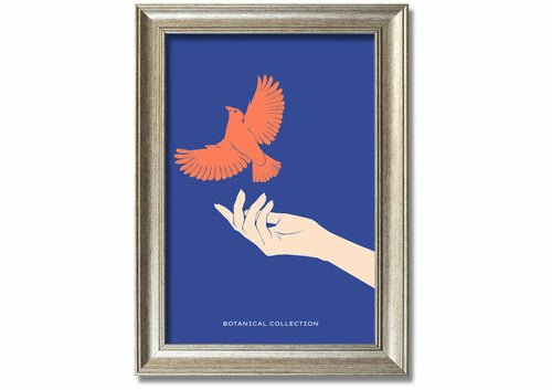Dove From A Hand Flight