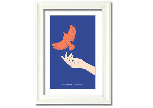 Dove From A Hand Flight