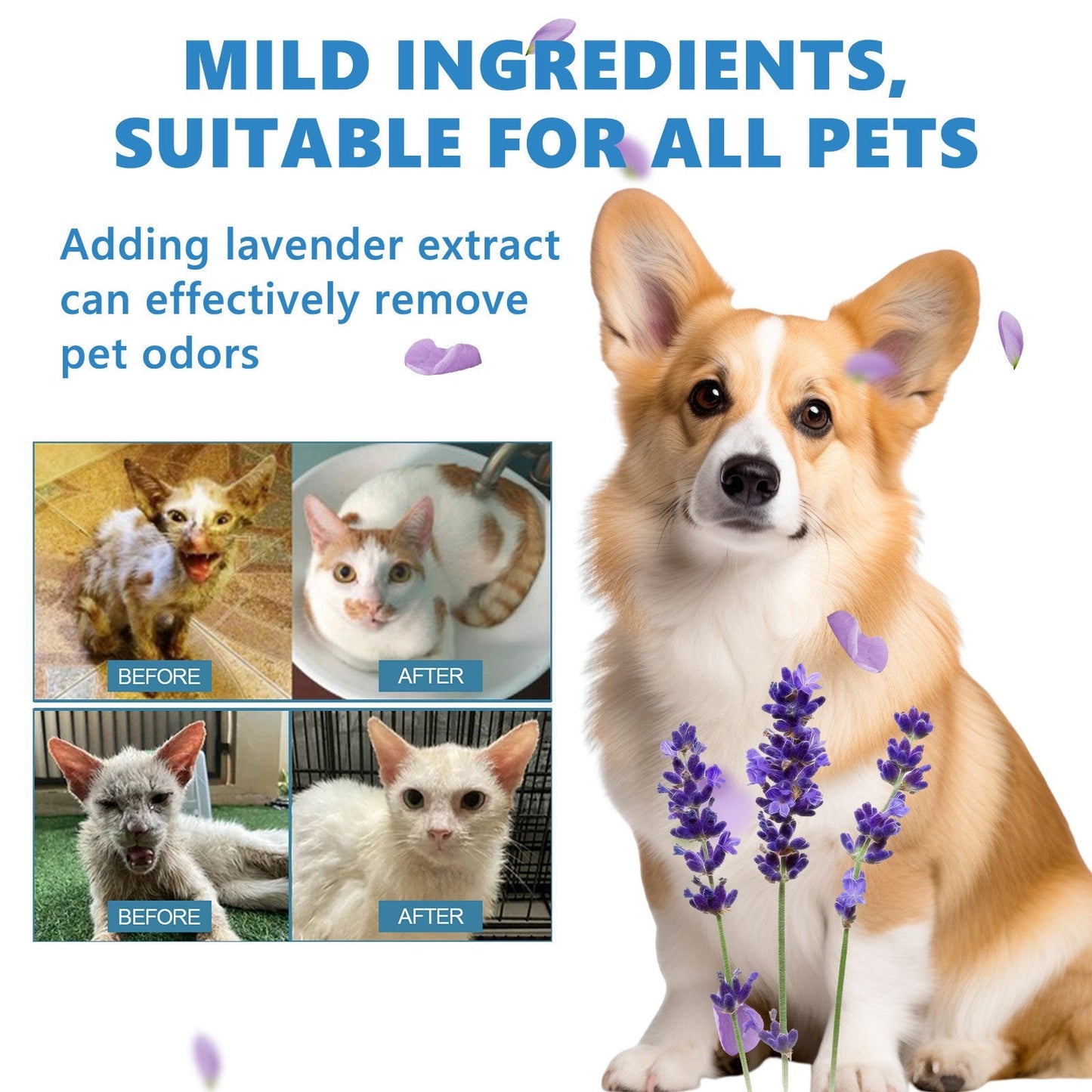 Pet Hair Daily Gentle Cleaning and Scented No-Rinse Care Essence for Cats and Dogs