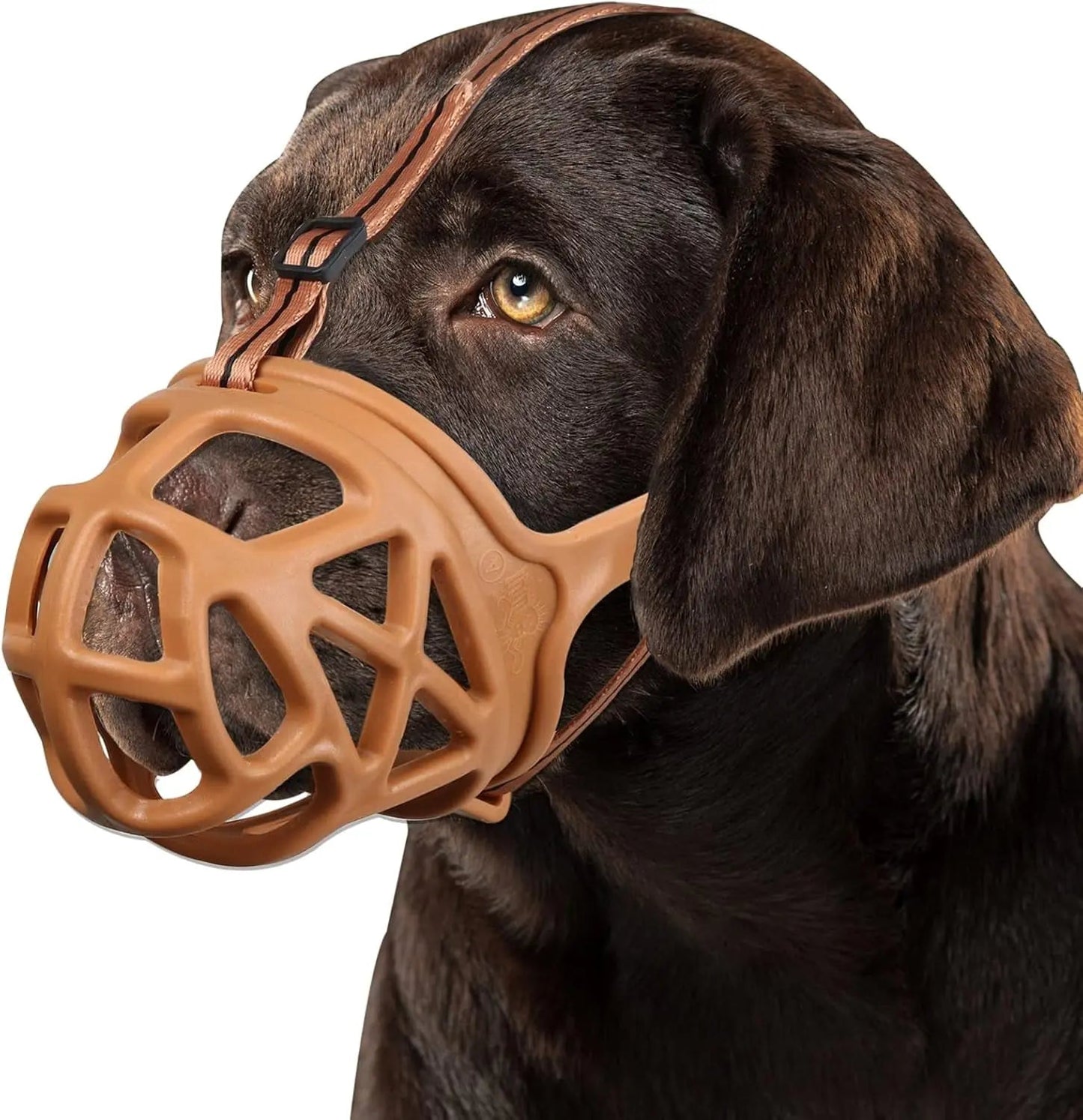Dog Basket Muzzle Adjustable Humane Anti-Bite Training Muzzle for Dogs