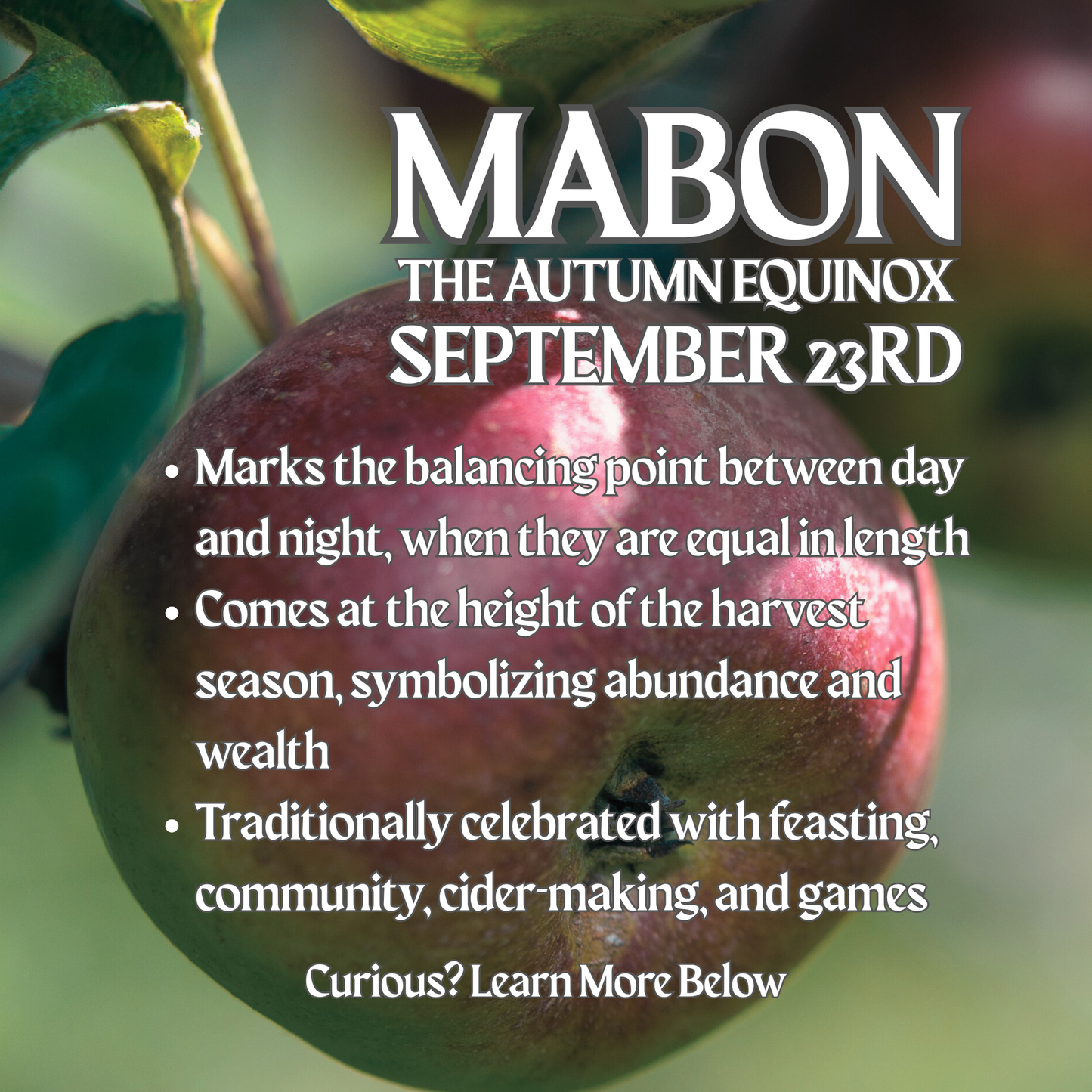 Mabon Soy Wax Candle – McIntosh, Granny Smith, Apple Pie & Harvest Spices
