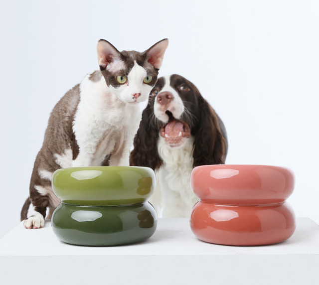 Soufflé Pet Bowl - Amber Orange - cavamart.com