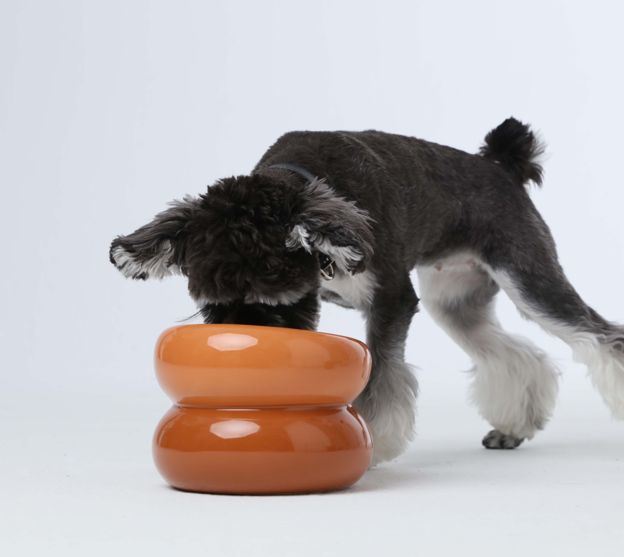 Soufflé Pet Bowl - Amber Orange - cavamart.com