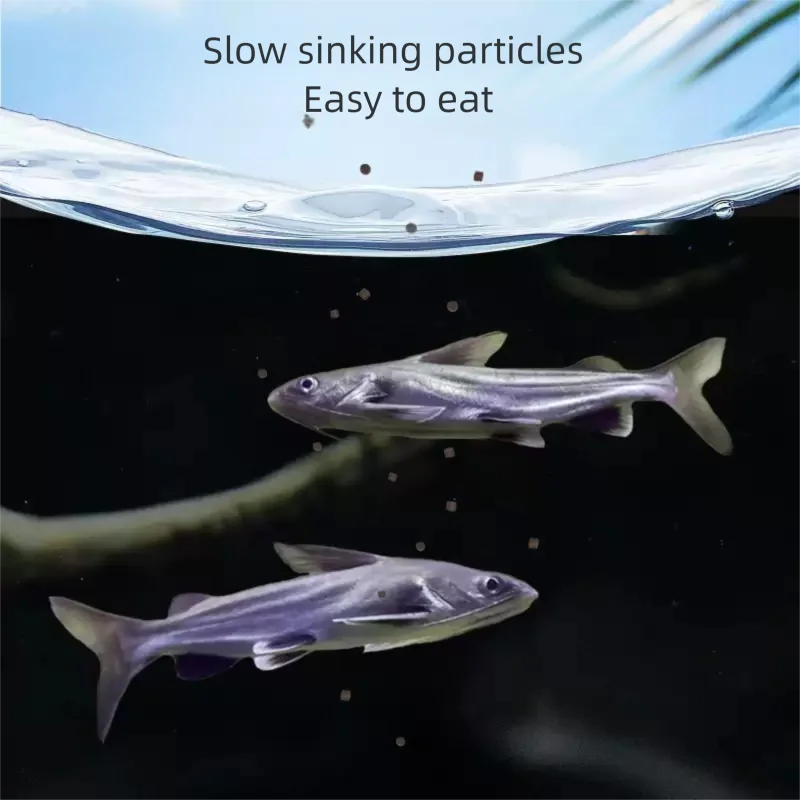 S0a297840e28946358f1c2324ca3601e5v