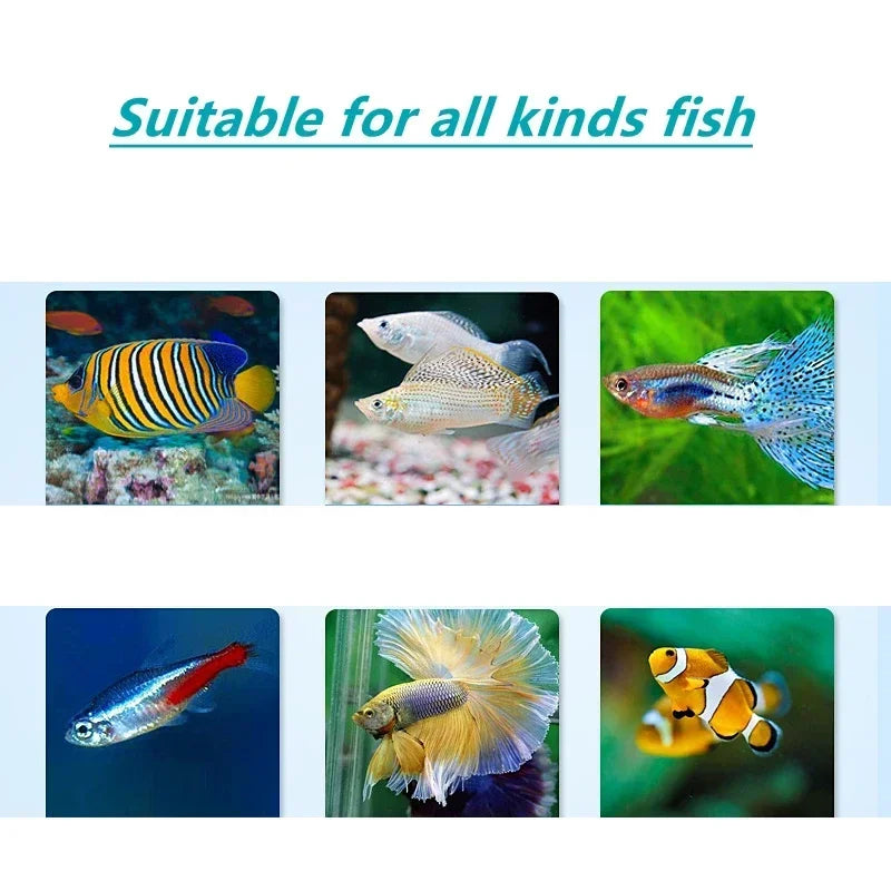 S1af1b6daff584091aad1d604c5b0c640A