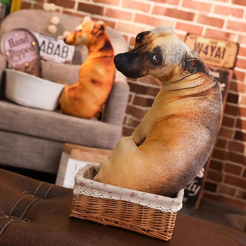 S2181d1d9f893439b832e3e8a3b0b49b6P