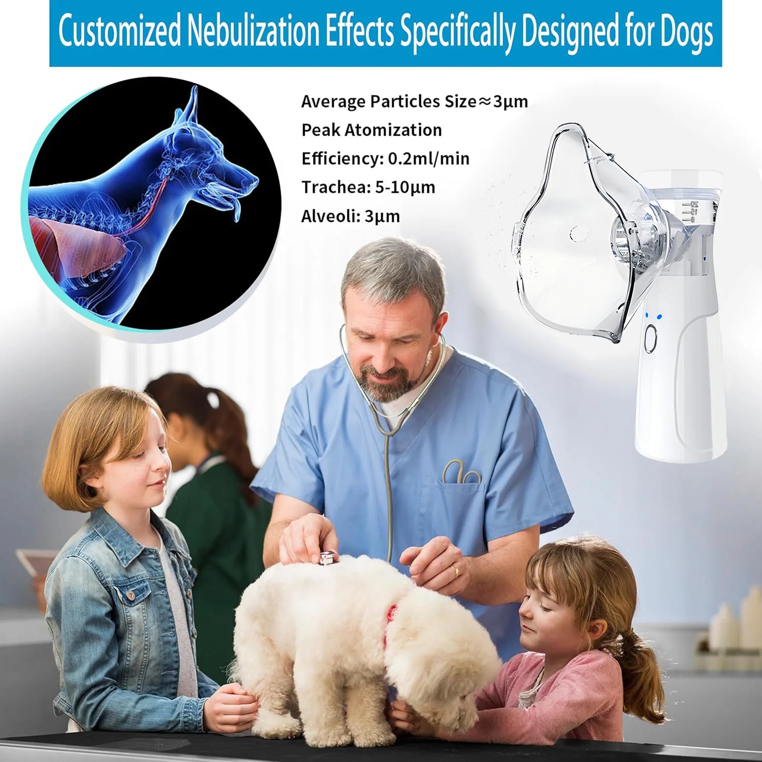 S4617ba24a44c4dedbe80a1c861a188f3Q