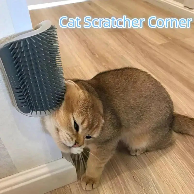 S52c0afc6a3014e96ac015f25846a0bb02