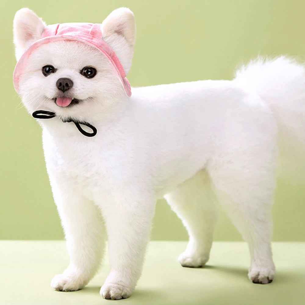 S57f383a4ac694c818cc54060450d95b3E