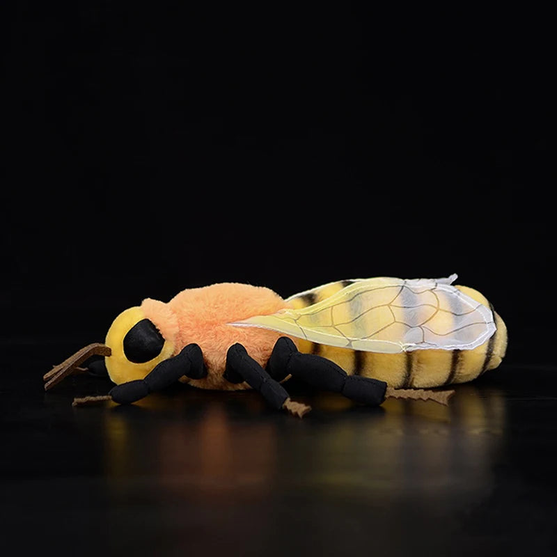 S60662356b3de4824958636b4f620affaf