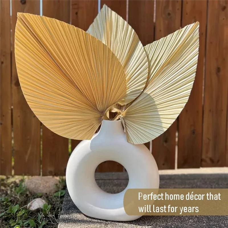 S774d26f407064a4baaafe5f271c022fdO