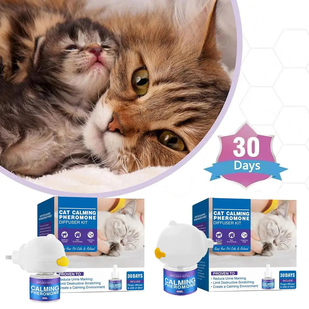 S81a830cd33394880830521723bddfb2fP