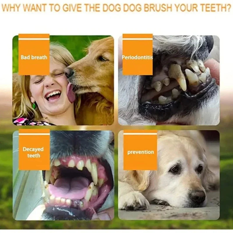 S8a4a8a23e42a4f908a9407dff3e30564p