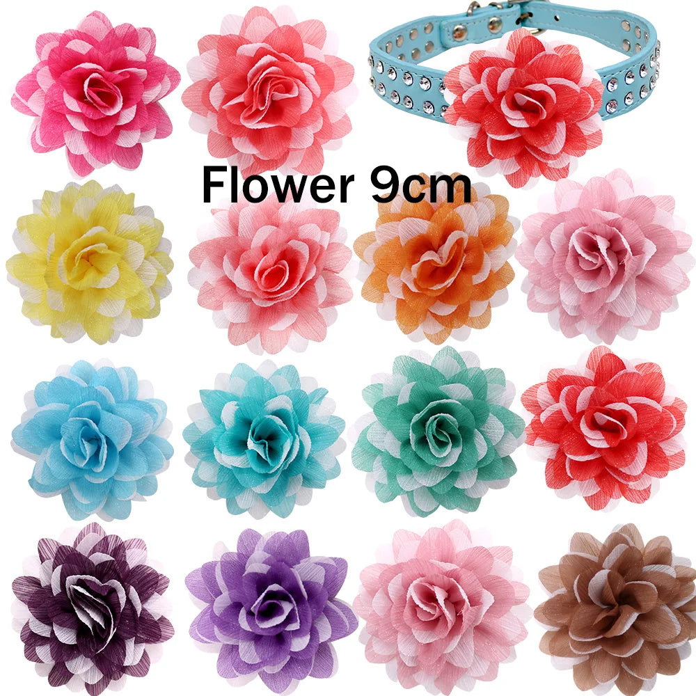 Sa118e07ed84c48dcaec785b43e2f8669a