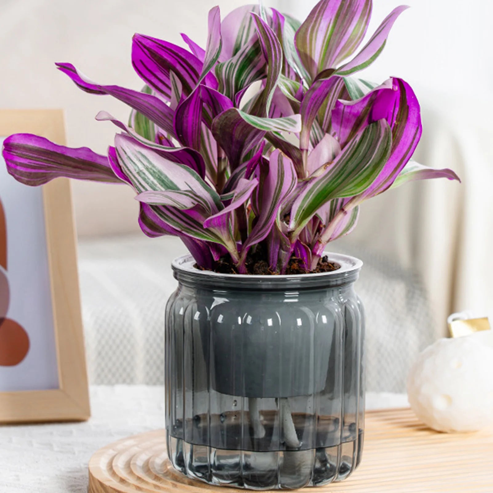 Sa38557a4e98c429f8523a38ab1008f70G