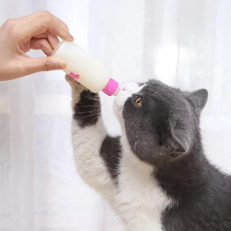 Sa9c0a07384274112b0547fd139d95fd95