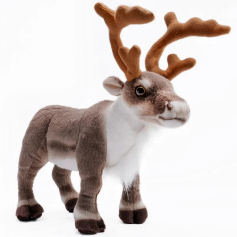 Sc39d7d6e59954ccf9faa83e3700b13e7a