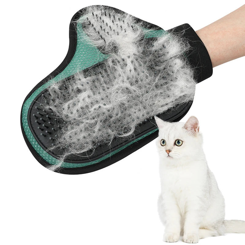 Sc3e23467bfe345e19ce563a935970830i