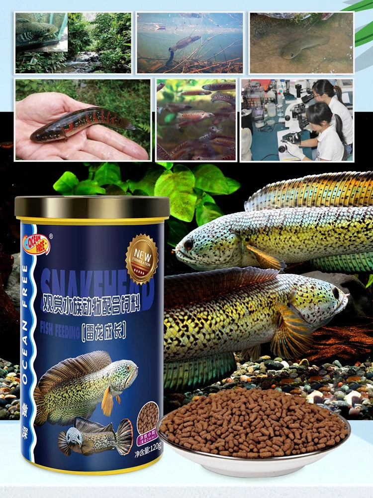 Sda51c33bb6014a06a29fe707f5eefd54K