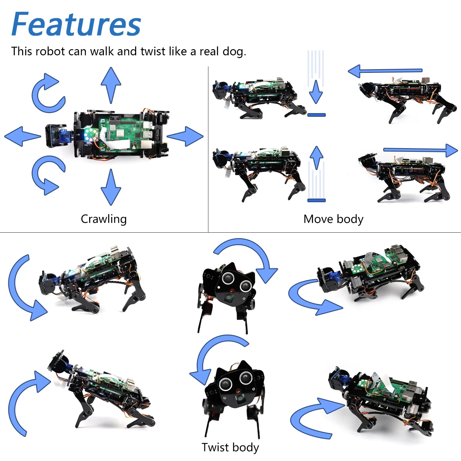 Sf61913aa72064a36b1125f7317b5f5b2N