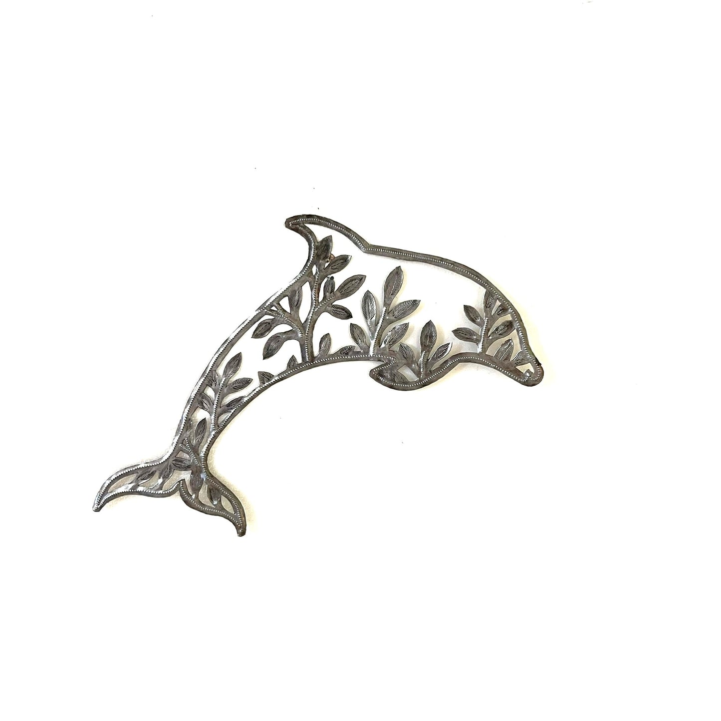 Dolphin Life