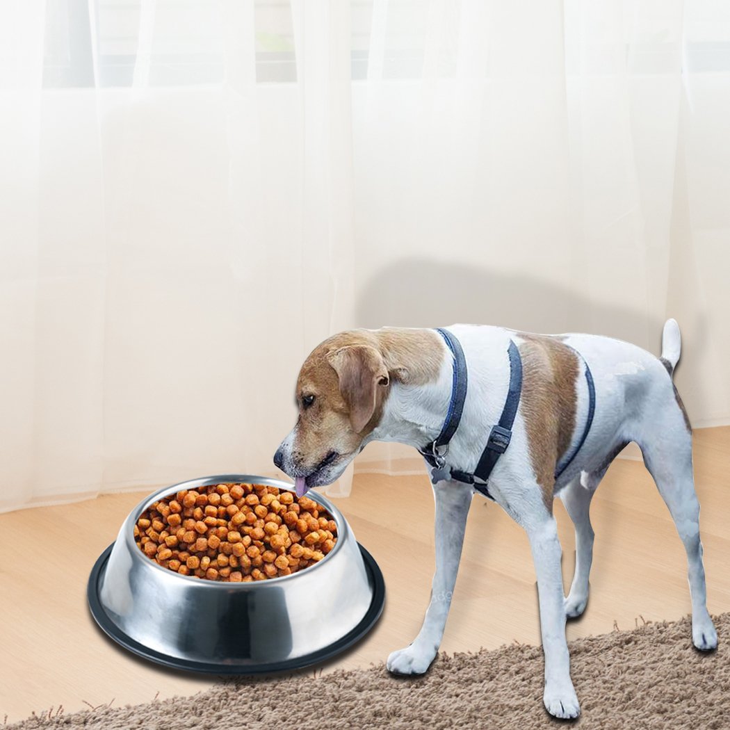 PaWz Pet Bowl Stainless Steel Non Tip Slip Dog Cat Puppy Water Food