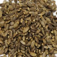 Milk Thistle Seed | Liver Cleanse & Cellular Renewal